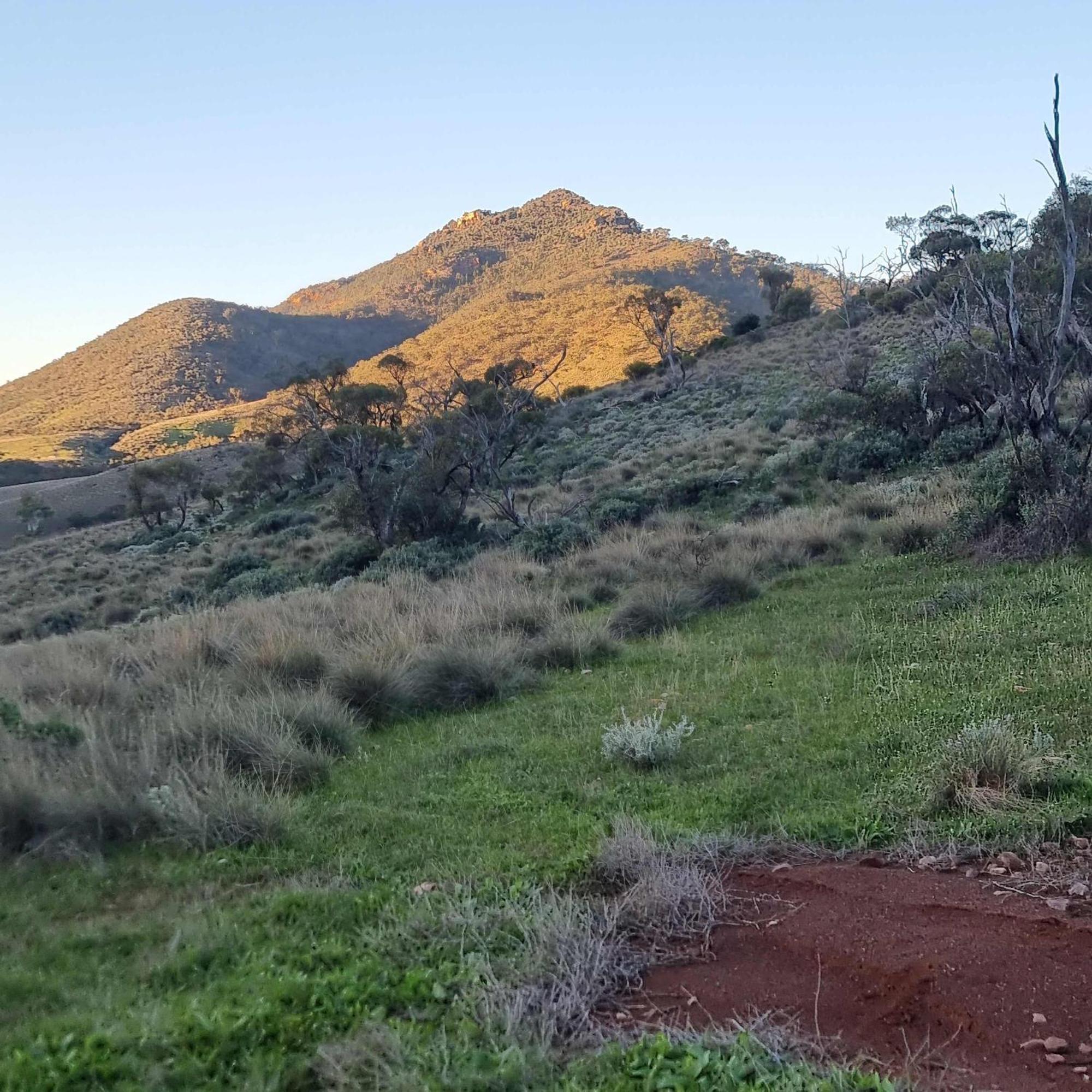 Pichi Richi Park Villa Quorn Buitenkant foto